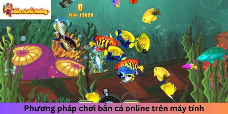 Phương pháp chơi bắn cá online trên máy tính