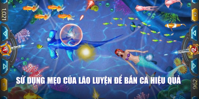 Sử dụng mẹo của lão luyện để bắn cá hiệu quả