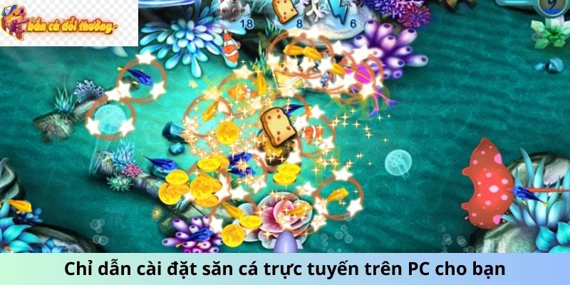 Chỉ dẫn cài đặt săn cá trực tuyến trên PC cho bạn