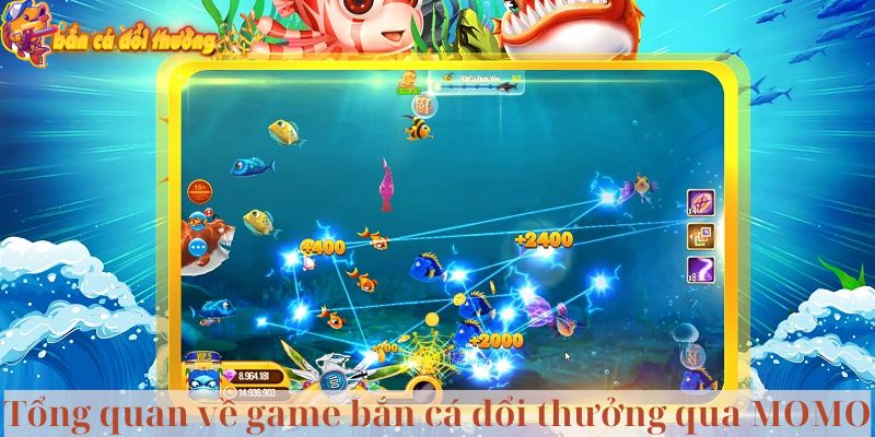 Tổng quan về game bắn cá đổi thưởng qua MOMO