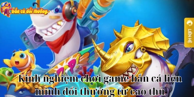 Kinh nghiệm chơi game bắn cá liên minh đổi thưởng từ cao thủ